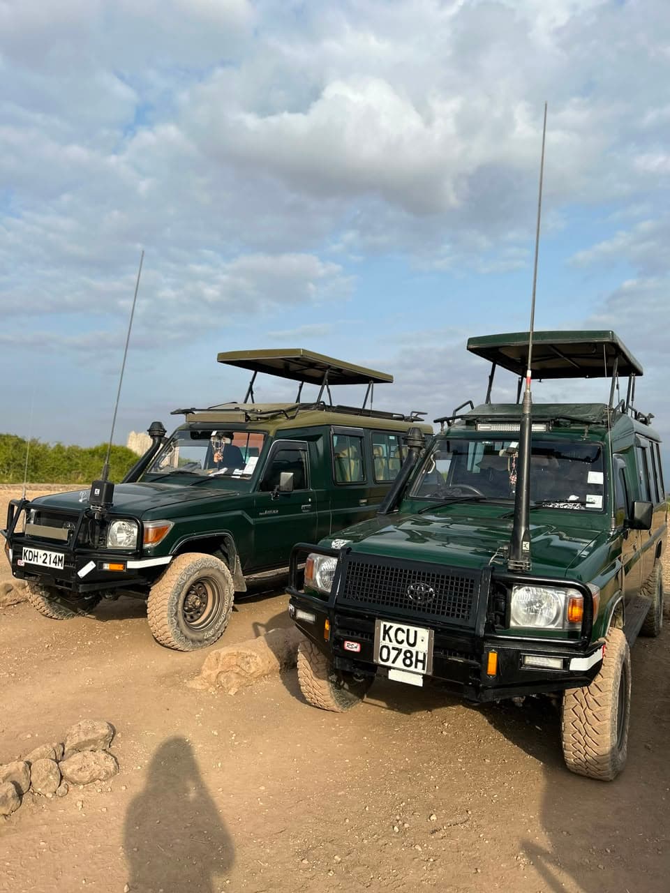 Custom Built Safari Cruisers