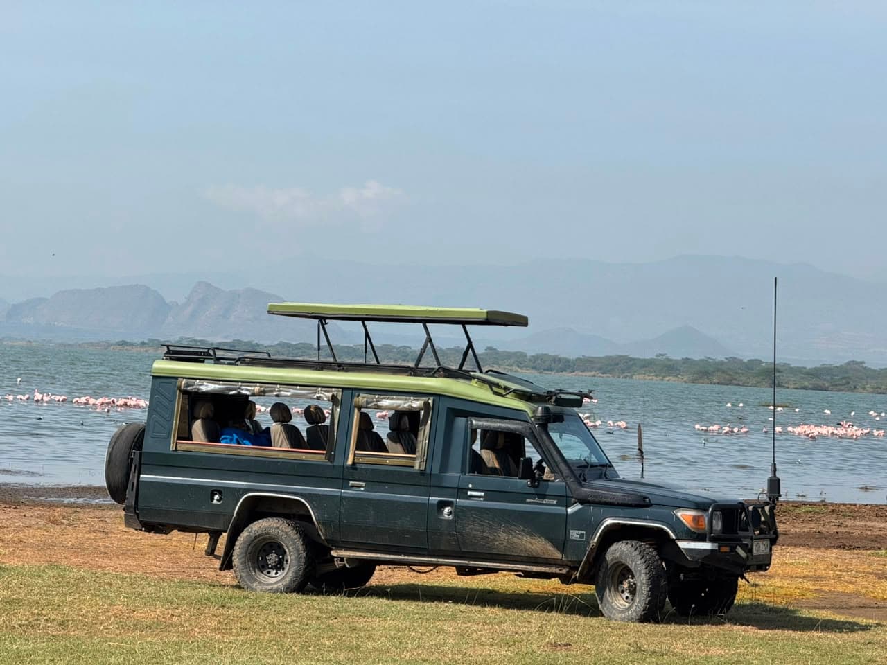 Conquering the Savannah Terrain