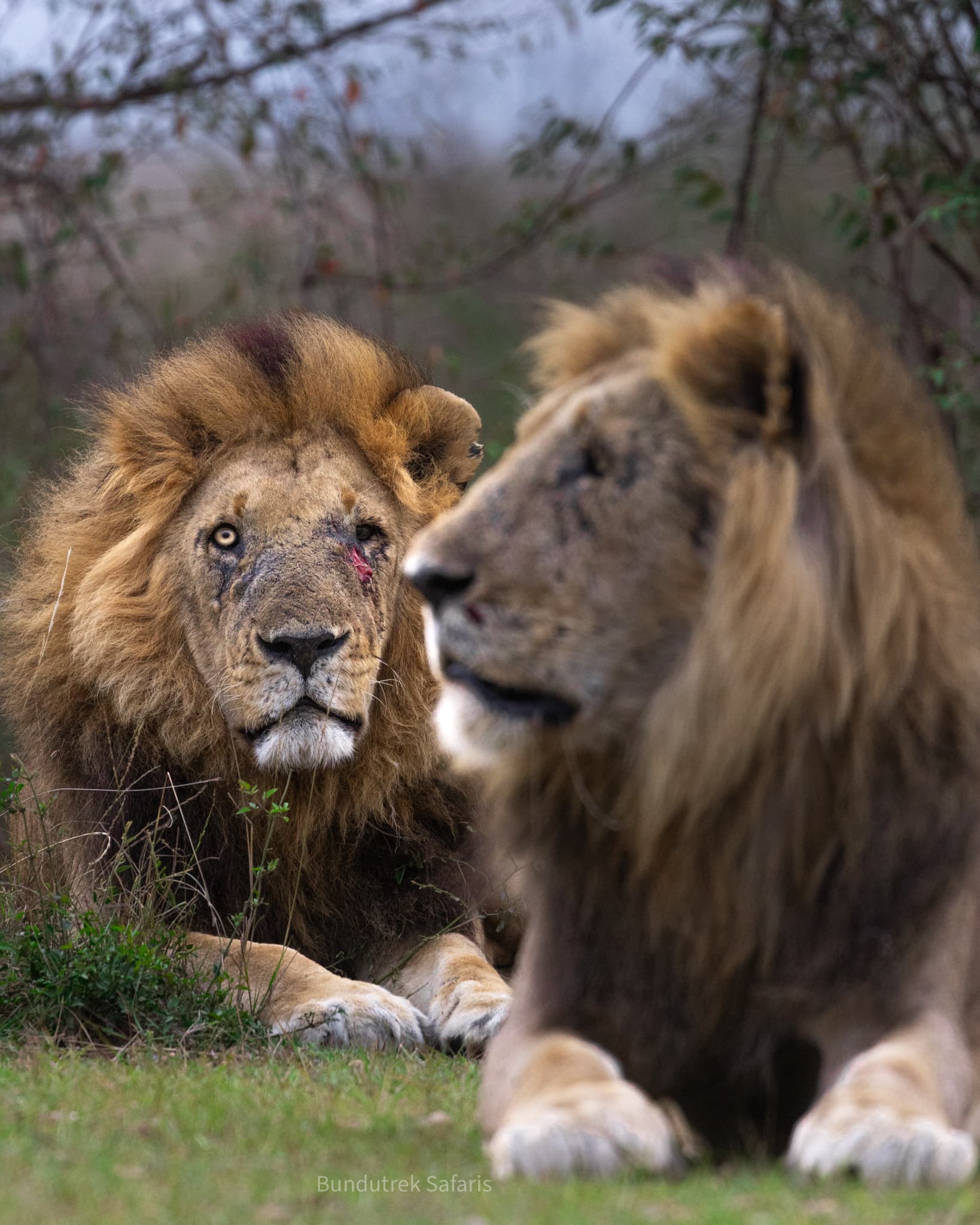 Maasai Mara