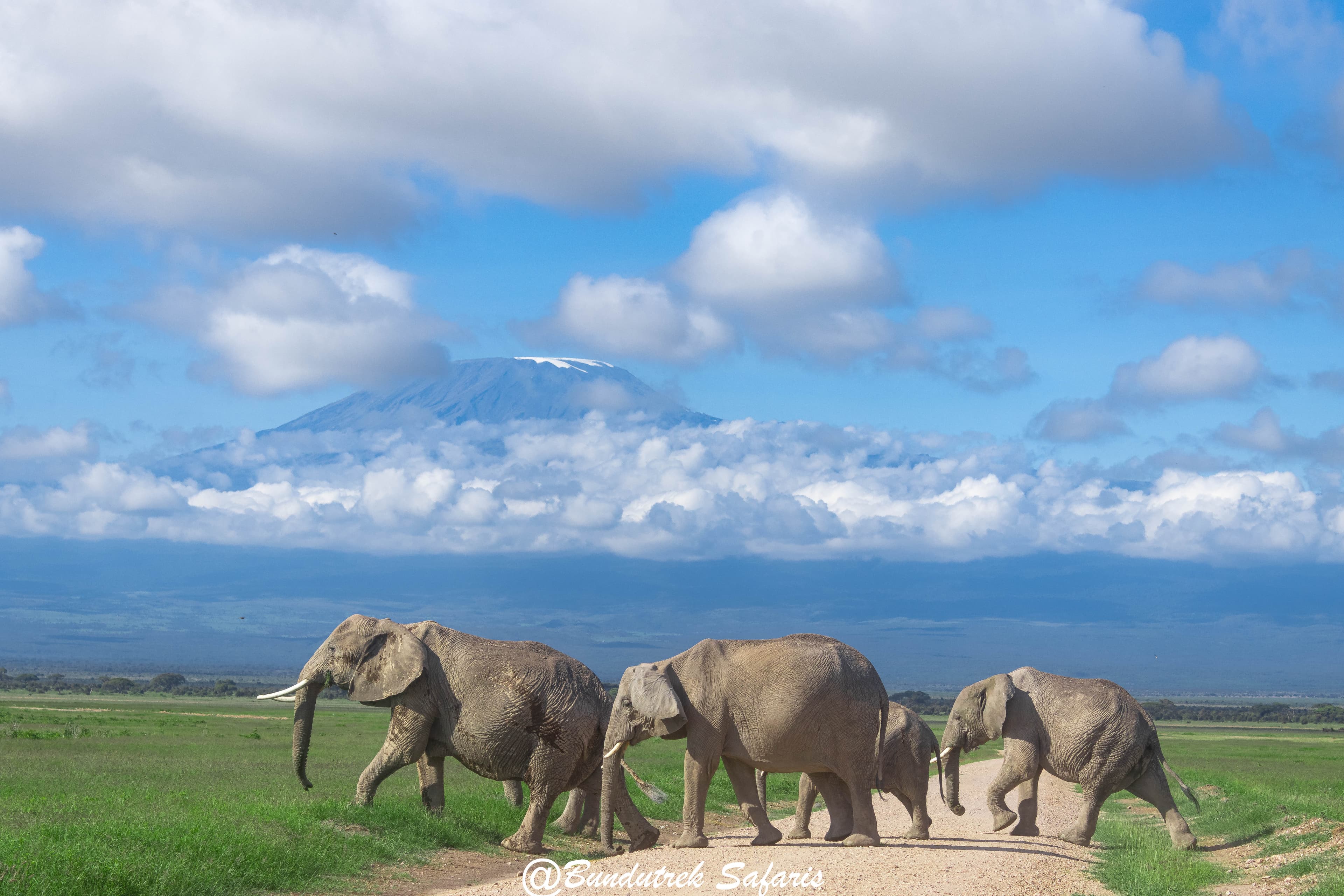 Amboseli