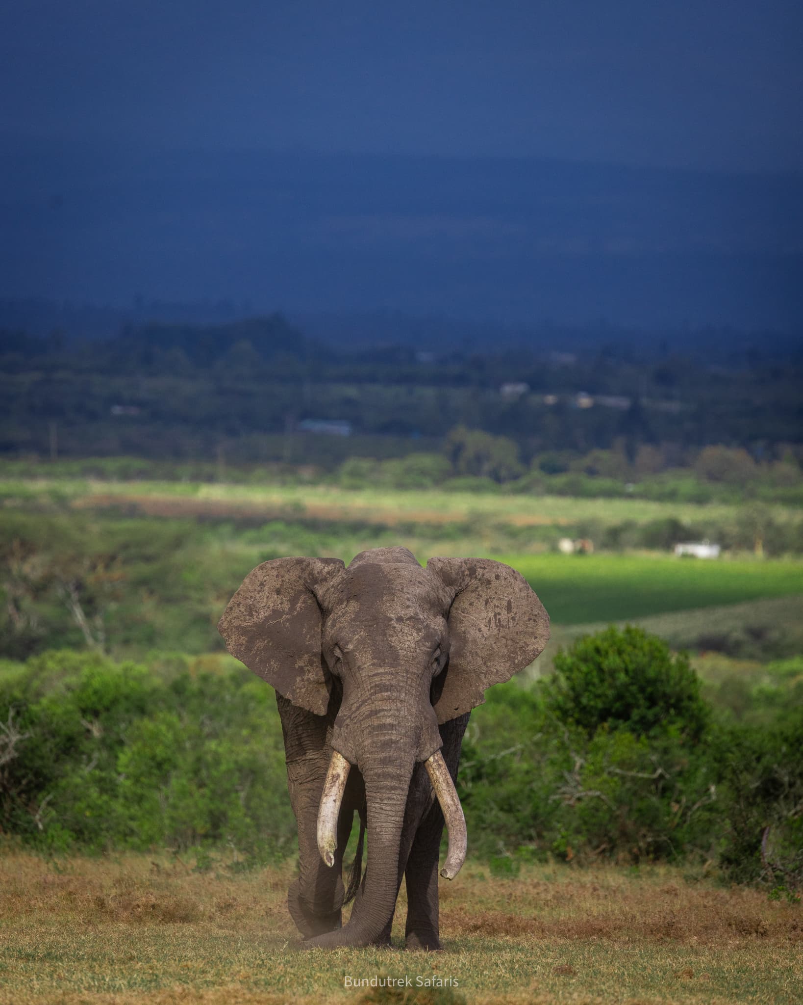 Tsavo East