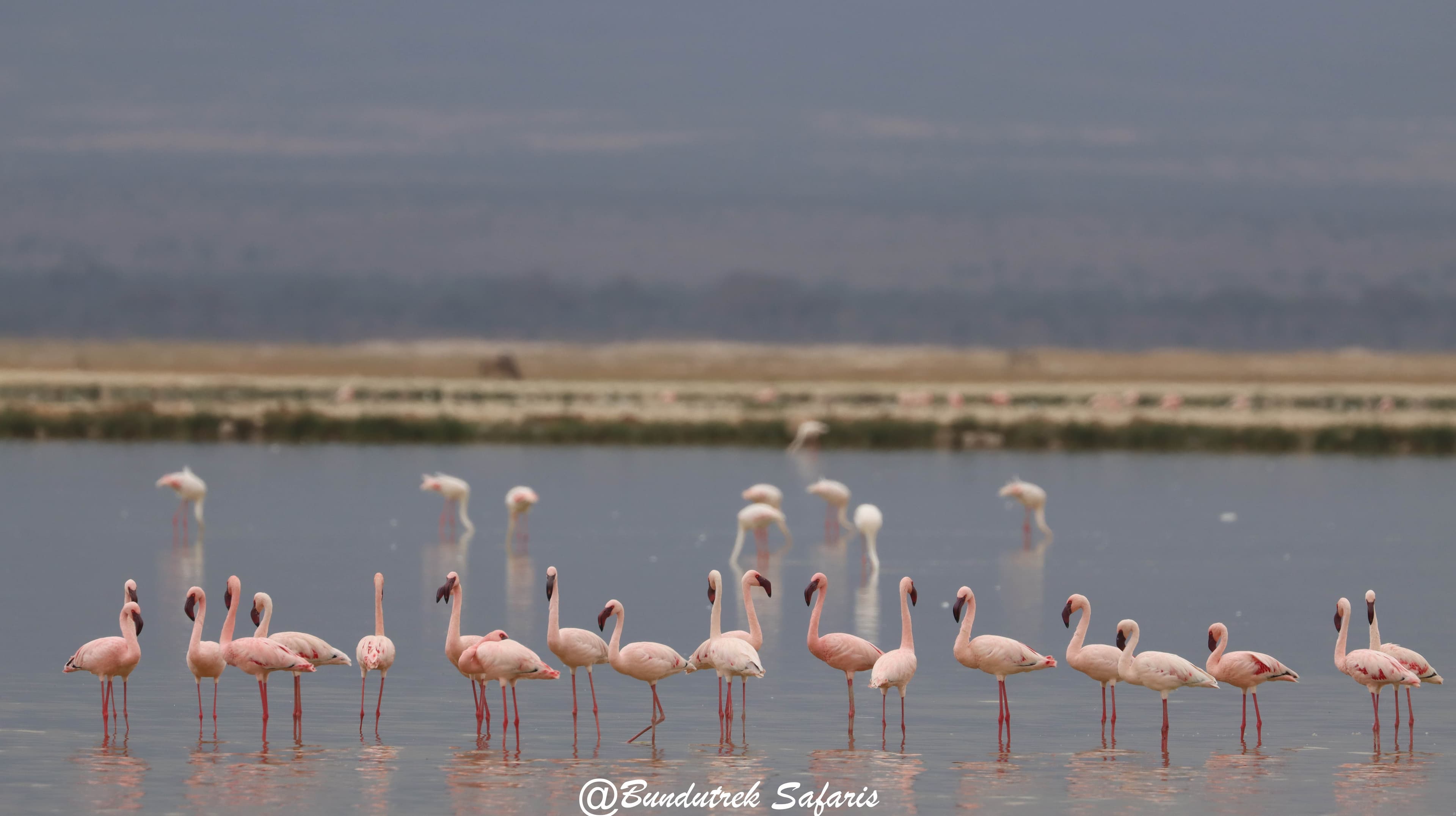 Lake Nakuru