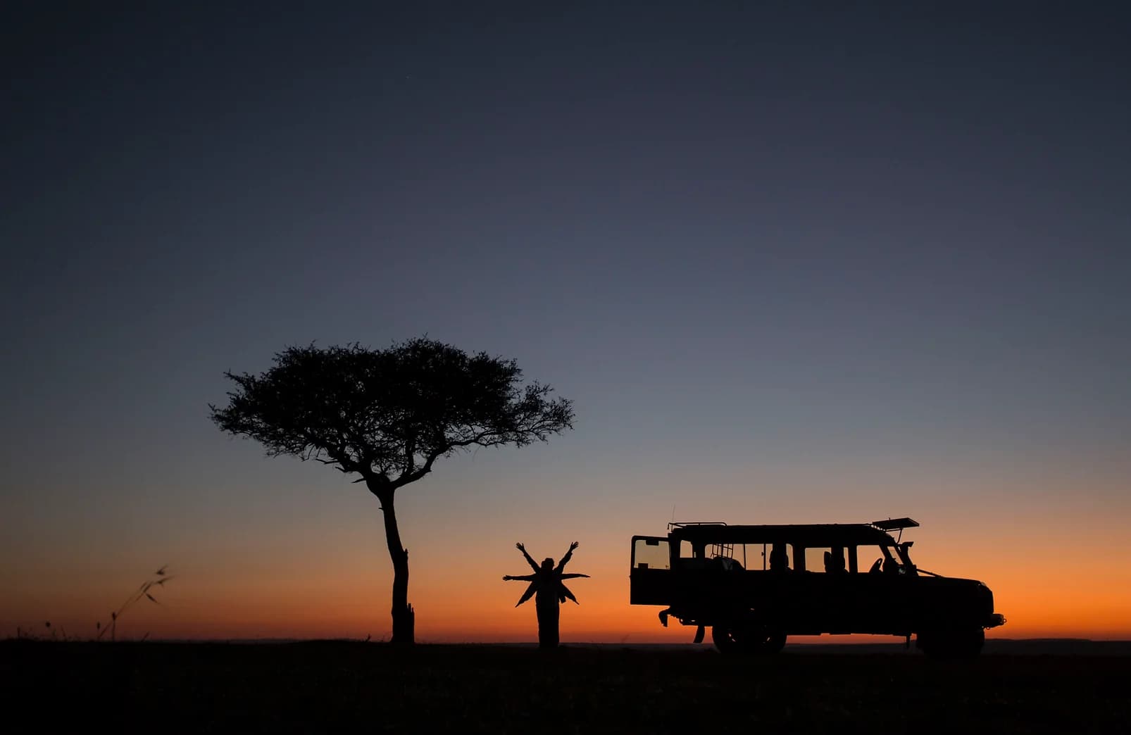 EXCLUSIVE FLY IN SAFARI